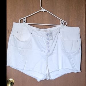 Torrid Short, Size 28, White